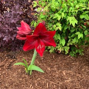 Meet your Posher, Leann